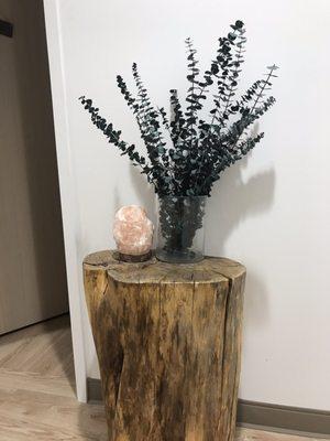 Salt stone and eucalyptus on a wooden stump.