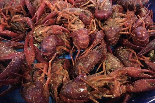 If you are looking for good crawfish, look no further!