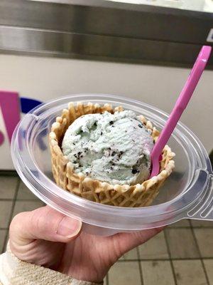 Mint chocolate chip on waffle bowl