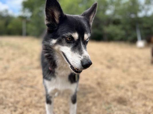 Camp Zoo & Pet Ranch