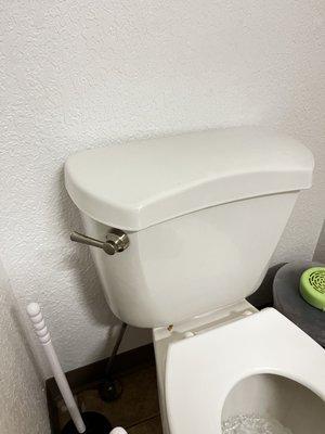 Toilet handle replacement