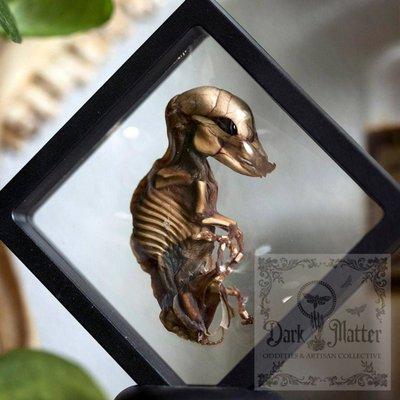 Dark Matter Oddities & Artisan Collective | mummified piglet