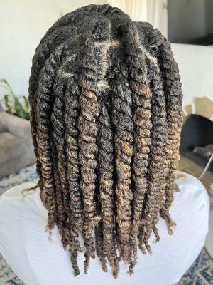 Double Dutch (Two-Strand Twists)