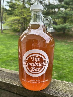 blueberry pomegranate kombucha - 64 oz growler