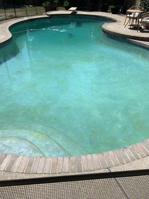 This was how the pool looked after they had just "serviced" it.