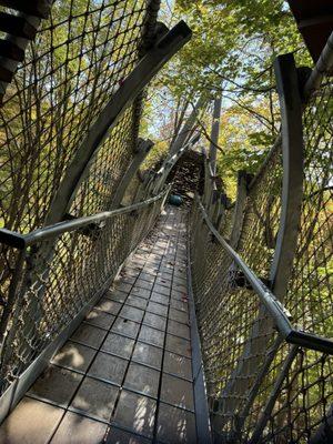 Nest sky walk