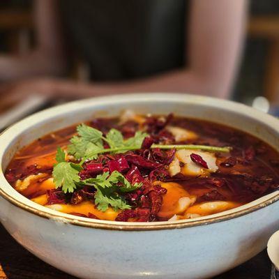 Szechuan boiled fish (SHUI ZHU YU, 水煮鱼)