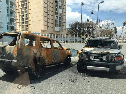 Cars that were torched beyond recognition due to the powerlines knocking over and igniting them