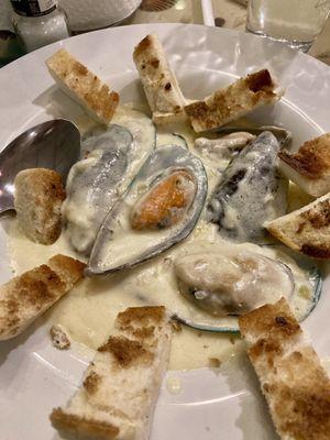 Green lip mussels in creamy Parmesan sauce appetizer