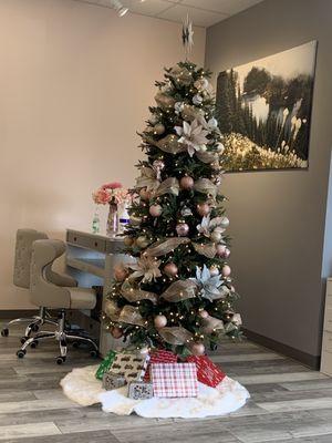 Tree inside salon