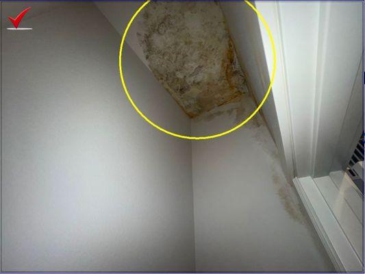 Active roof leak identified in a closet.