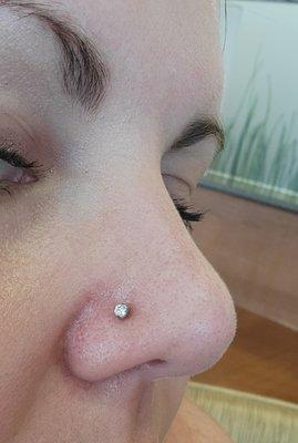 Nostril by Ashly @ 23rd Street