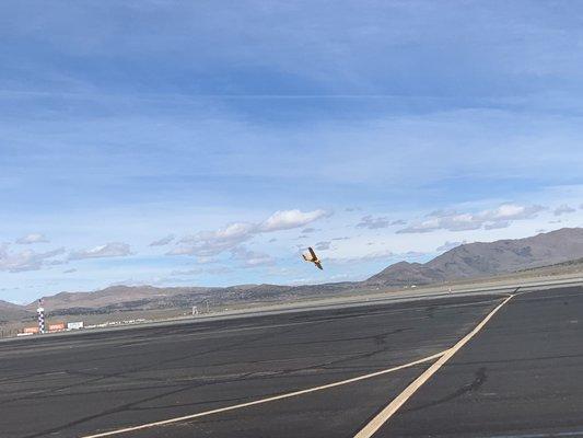 National Championship Air Races