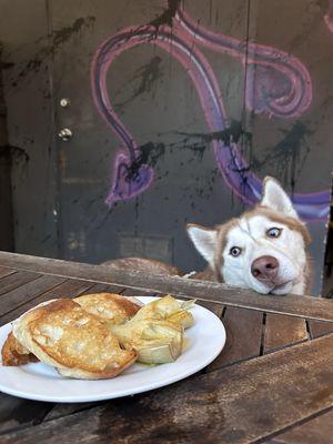 Grilled Artichoke + Dog Friendly