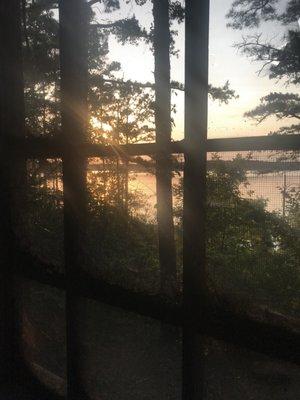 Looking out from the porch