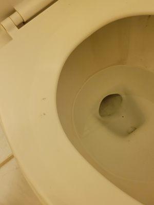 Dirty toilet