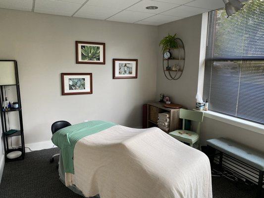 Massage Therapy Room