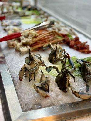 Fresh Seafood bar