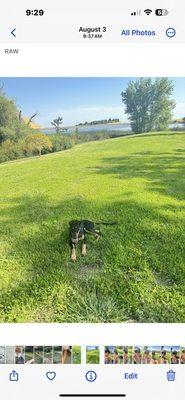 Perfect isolated area to chill at Contra Loma Regional Park with great views, shade and area for barbecuing