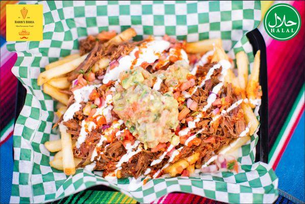 Birria Fries