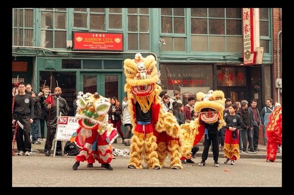 Seattle Kung Fu Club