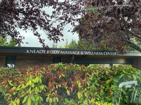 Navdeep Mahil, LMT - Kneady Body & Feet Wellness Center