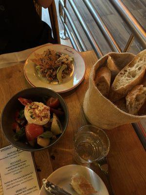 Fresh tomato and mozzarella salad and tuna tartare