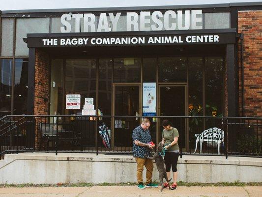 This is when Chemdawg's made a donation of our CBD to Stray Rescue of St. Louis.