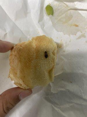 A smushed roach in the sandwich