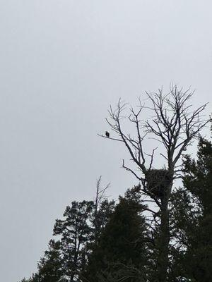 Teton Scenic Floats & Fly Fishing