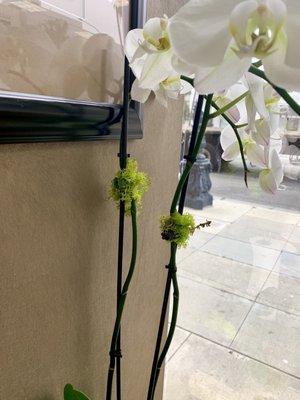 Love the moss on the orchid stem clip