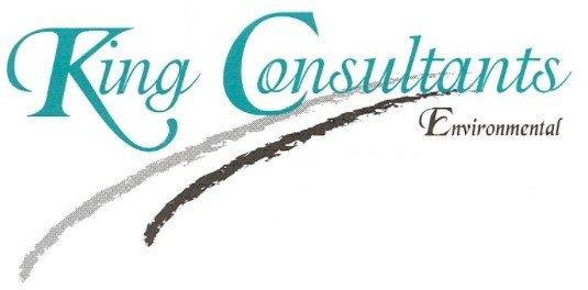 King Consultants Inc