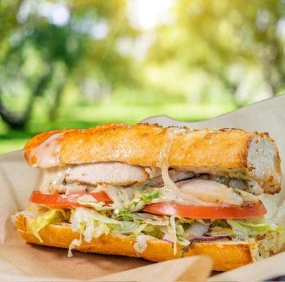 Summer specials ! Bite into pure excellence with our grilled chicken sandwich!