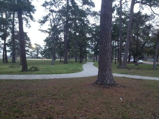 walking trail at sunset