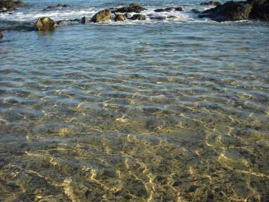 Lanikai tide pools