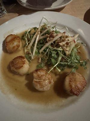 Scallops