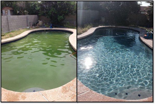 Green Pool Reform