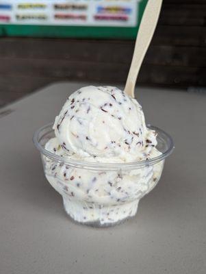 Toasted Coconut, Hard Serve Ice Cream, Baby Size, $4.50