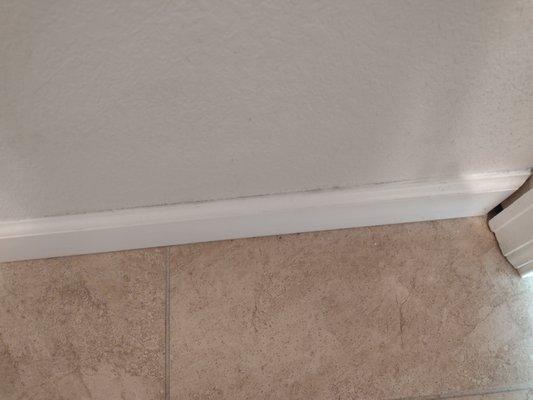 Deep cleaning for $500 does not include baseboards at Furball Cleaning.