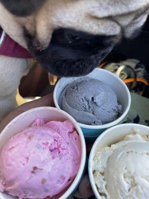 Rose, charcoal mocha and falooda mini scoops