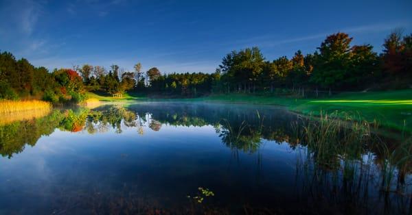 Looking back at the tees on #4