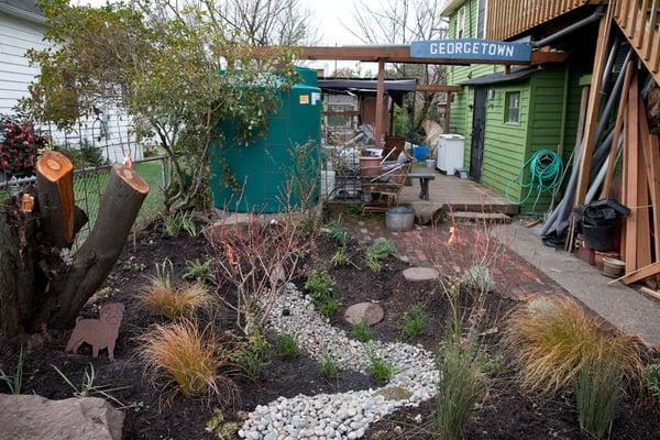 A Community Raingarden Project at Carleton Grocery in Georgetown with volunteer labor provided by Dirt Corps.