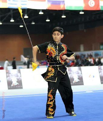 Our student won a SILVER medal with this Chain Whip form in Emeishan, China