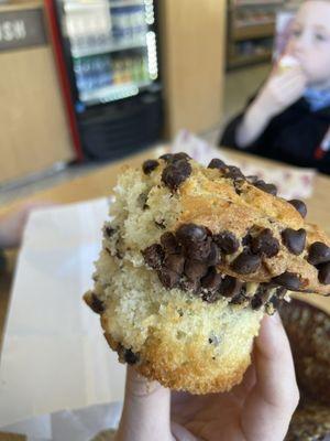 Chocolate chip muffin