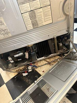 Customer Friedge wasn't cooling