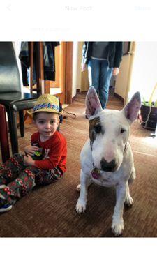 Yezi loves when our patients bring in their tiny humans to play with her!!