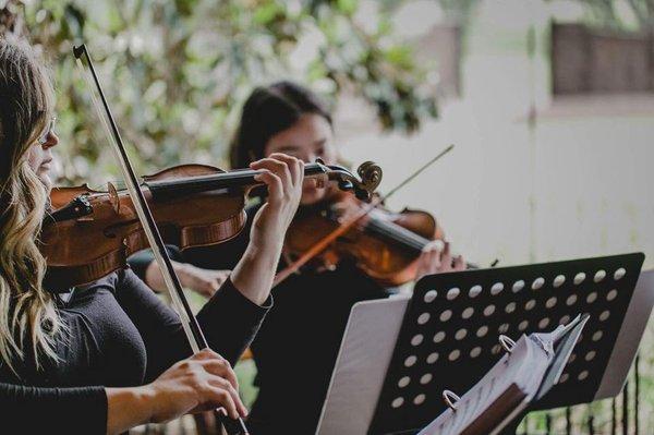 Violinists at Ma Maison nicole riggs photography