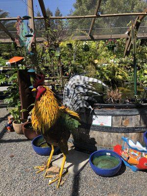 Prickett's Nursery Healdsburg