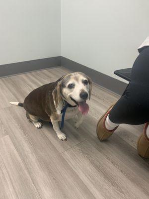 Lucy, waiting patently on the doc to come back in.