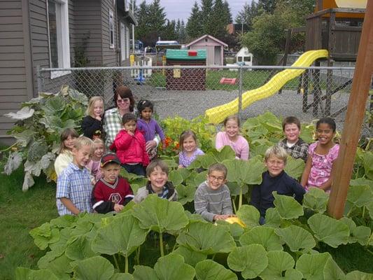 Annual Pumpkin Patch Garden